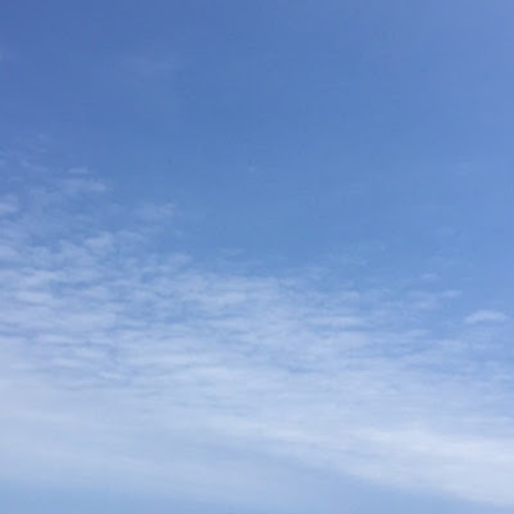 Meet your Posher, Layla